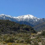 Mount_Charleston 2